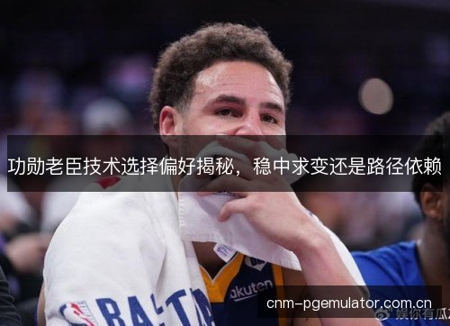 功勋老臣技术选择偏好揭秘，稳中求变还是路径依赖