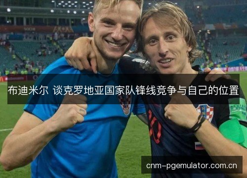 布迪米尔 谈克罗地亚国家队锋线竞争与自己的位置